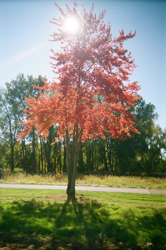 Kodak FunSaver 35mm One-Time-Use Disposable Camera