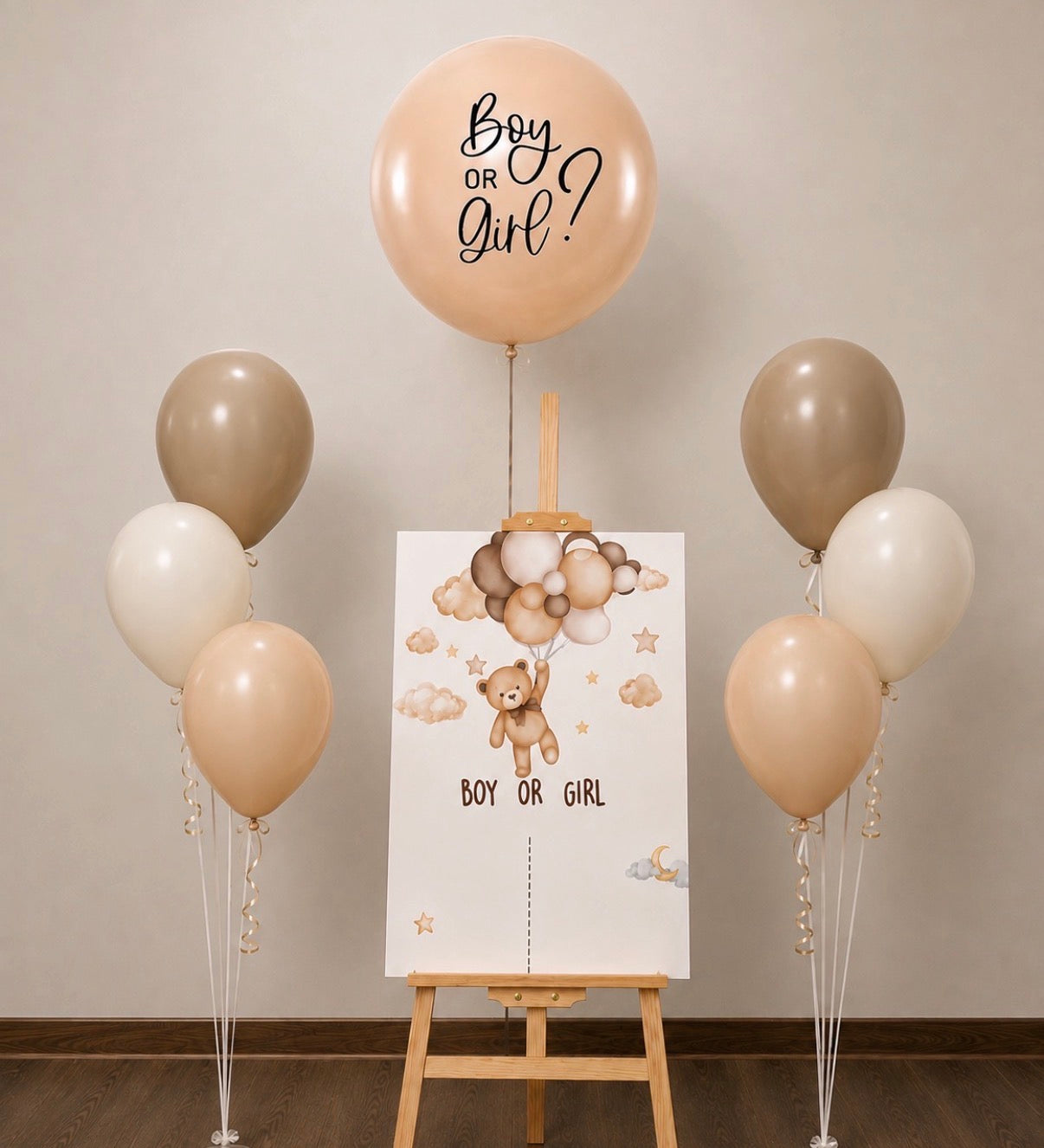 He or She? 🧸🤎