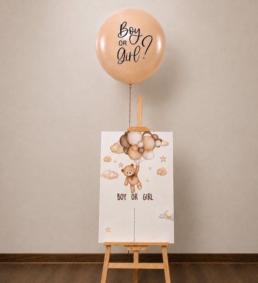 He or She? 🧸🤎